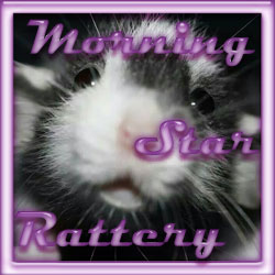 Morning Star Rattery